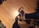 Wild shoes..., foto 2592x1936, 4 reacties, 24 stemmen