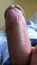 Willy wil los!, foto 368x640, 0 reacties, 2 stemmen