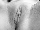 X, foto 640x480, 12 reacties, 53 stemmen