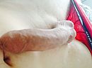 You like this?, foto 2048x1536, 0 reacties, 3 stemmen