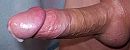 Zaad, foto 1882x726, 1 reacties, 2 stemmen
