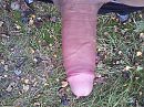 Zin in date, foto 3264x2448, 0 reacties, 1 stemmen