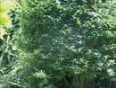 Zo'n zomerweer, film 00:00:00, 2 reacties, 9 stemmen