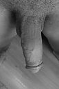 ., foto 1728x2592, 0 reacties, 3 stemmen
