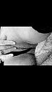 ....., foto 640x1136, 0 reacties, 3 stemmen