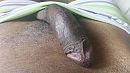 ........, foto 820x462, 4 reacties, 9 stemmen