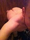 ., foto 480x640, 4 reacties, 33 stemmen