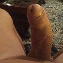 ......, foto 1936x1936, 2 reacties, 12 stemmen