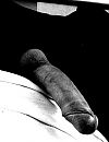 ......, foto 482x621, 0 reacties, 1 stemmen