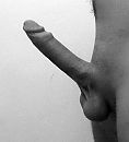 ., foto 516x564, 7 reacties, 36 stemmen
