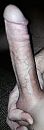 alweer geil, foto 314x908, 2 reacties, 3 stemmen