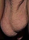 balls, foto 480x640, 3 reacties, 12 stemmen