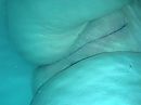 blub blub, foto 2560x1920, 1 reacties, 6 stemmen