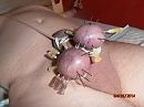 ch, foto 213x159, 3 reacties, 9 stemmen