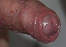 close up, foto 800x578, 0 reacties, 5 stemmen