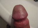 close up, foto 1600x1200, 0 reacties, 2 stemmen