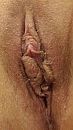 closeup, foto 1836x3264, 0 reacties, 4 stemmen