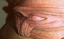 d, foto 525x326, 25 reacties, 81 stemmen