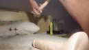 daar gaan we weer geil, film 00:00:01, 3 reacties, 6 stemmen
