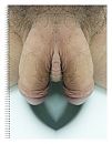 dubbel, foto 1836x2343, 1 reacties, 2 stemmen