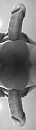 dubbel op, foto 1018x3619, 0 reacties, 3 stemmen