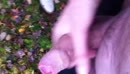 een gezonde boswandeling, film 00:00:16, 1 reacties, 14 stemmen