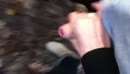 een gezonde boswandeling, film 00:00:27, 4 reacties, 27 stemmen