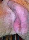 een beetje hard, foto 480x640, 4 reacties, 3 stemmen
