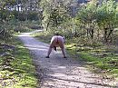 een fietser, foto 2592x1944, 6 reacties, 34 stemmen