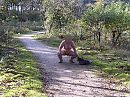 een piemel, foto 2592x1944, 4 reacties, 33 stemmen