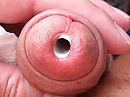 eikel, foto 1120x840, 22 reacties, 61 stemmen