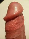 eikel, foto 1536x2048, 1 reacties, 0 stemmen