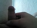 eikeltje ontbloot, foto 2592x1944, 1 reacties, 3 stemmen