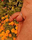 en ?is het iets, foto 1378x1709, 0 reacties, 6 stemmen
