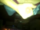 even ontspannen, film 00:00:21, 2 reacties, 3 stemmen