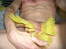experimanteren, foto 2048x1536, 1 reacties, 2 stemmen