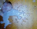 exsplosie, foto 459x367, 0 reacties, 0 stemmen