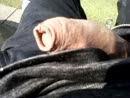ff lekker in de zon, film 00:00:00, 4 reacties, 12 stemmen