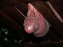 freies Schaukeln, foto 3136x2352, 0 reacties, 2 stemmen