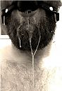 gag, foto 528x776, 0 reacties, 1 stemmen