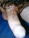 geil, foto 349x459, 0 reacties, 2 stemmen
