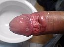 geile eikel, foto 500x375, 1 reacties, 5 stemmen