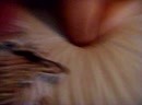 genieten, film 00:00:26, 10 reacties, 75 stemmen