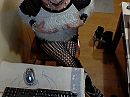 gewoon, foto 1280x960, 0 reacties, 10 stemmen