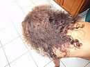 haar haar, foto 3648x2736, 10 reacties, 53 stemmen