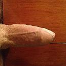 half hard, foto 2448x2448, 3 reacties, 6 stemmen