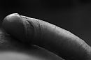 hard en stijf, foto 3456x2304, 3 reacties, 7 stemmen