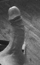 hard, foto 1365x2168, 1 reacties, 4 stemmen