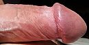hard, foto 2820x1456, 0 reacties, 1 stemmen