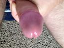 hard, foto 3264x2448, 3 reacties, 6 stemmen